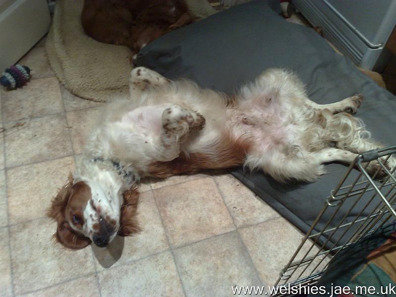 2009-11-15 04.jpg - After a hard day playing!